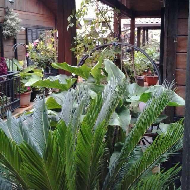 Cabanas Valle Verde 摩亚 外观 照片